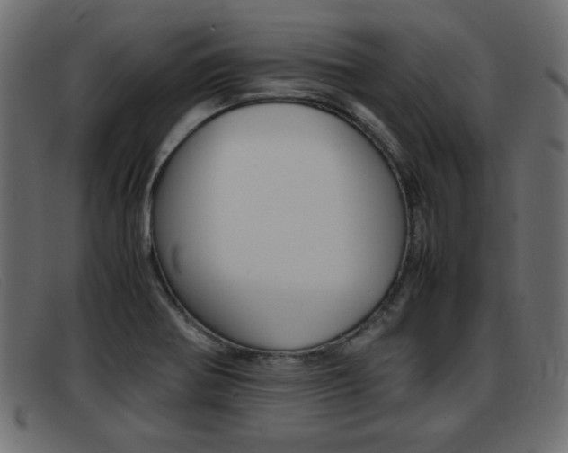 X0000093391370200710111340