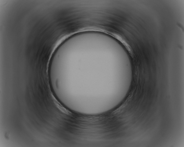 X0000093391372200710111340