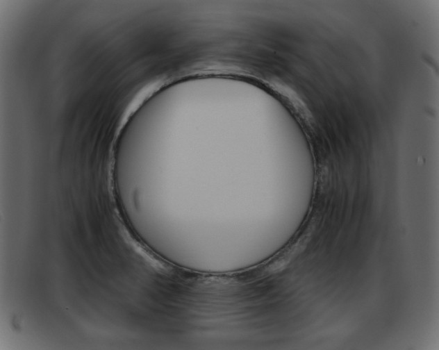 X0000093391374200710111340