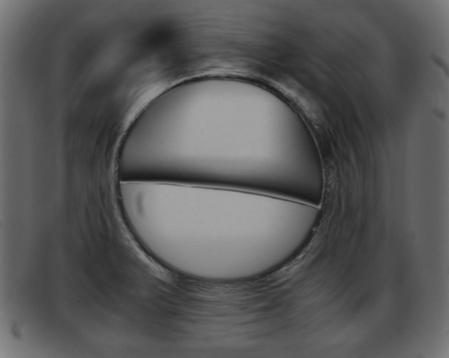 X0000093391375200710111340