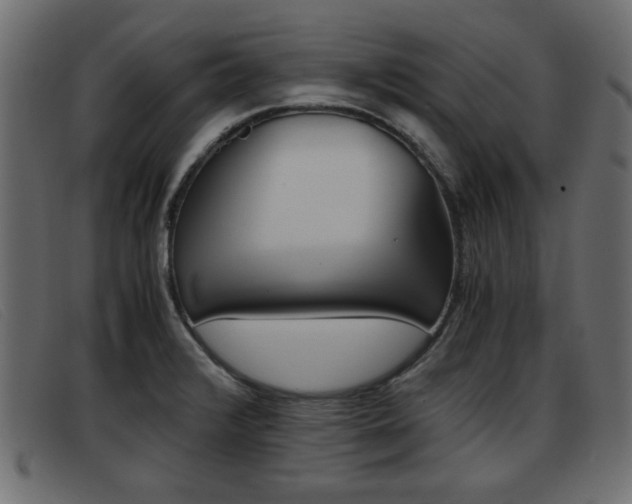 X0000093391376200710111340