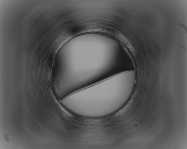 X0000093391377200710111340