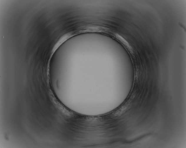 X0000093391378200710111340
