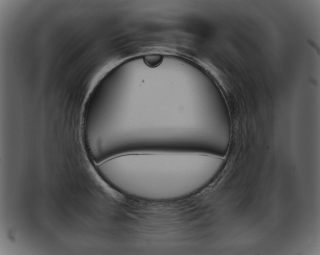 X0000093391379200710111340