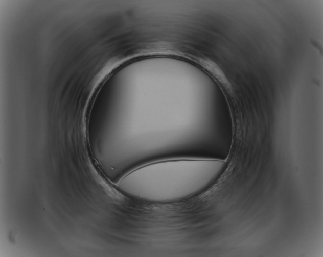 X0000093391380200710111340