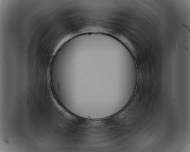 X0000093391382200710111340