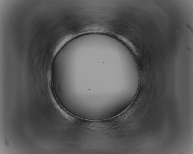 X0000093391383200710111340