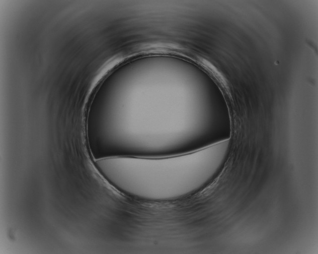 X0000093391384200710111340