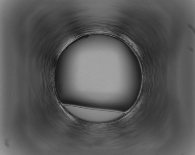 X0000093391385200710111340