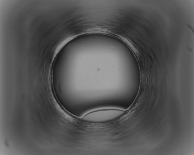 X0000093391387200710111340