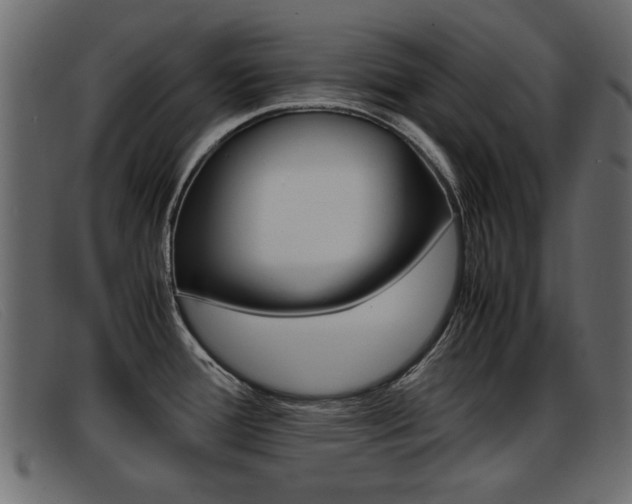 X0000093391388200710111340