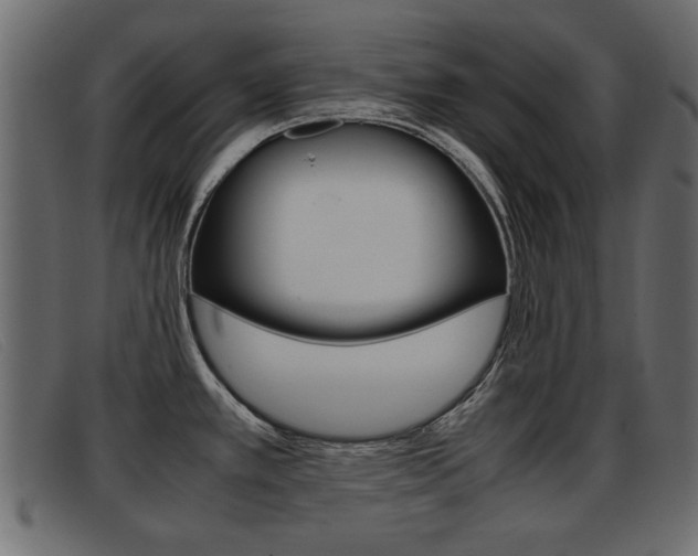 X0000093391389200710111340