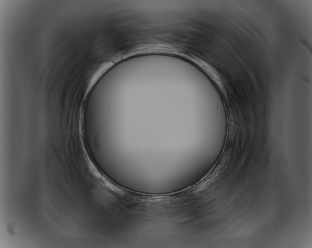 X0000093391390200710111340