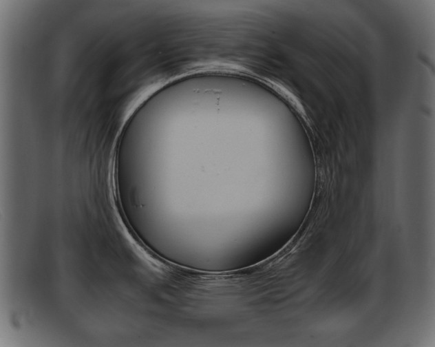 X0000093391391200710111340