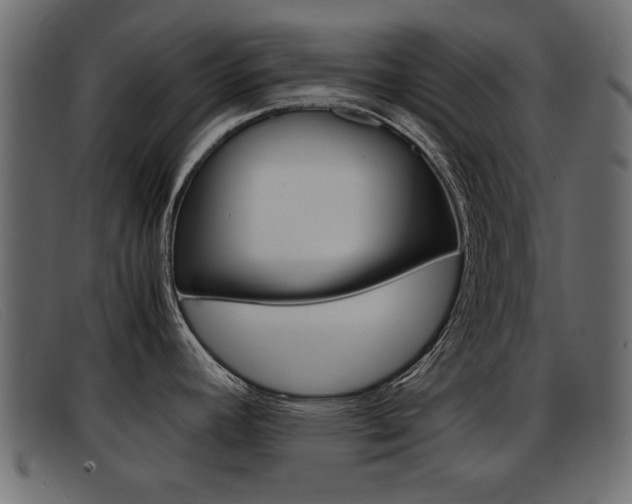 X0000093391392200710111340