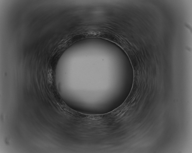 X0000093391394200710111339