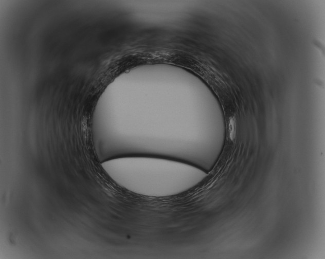 X0000093391395200710111339