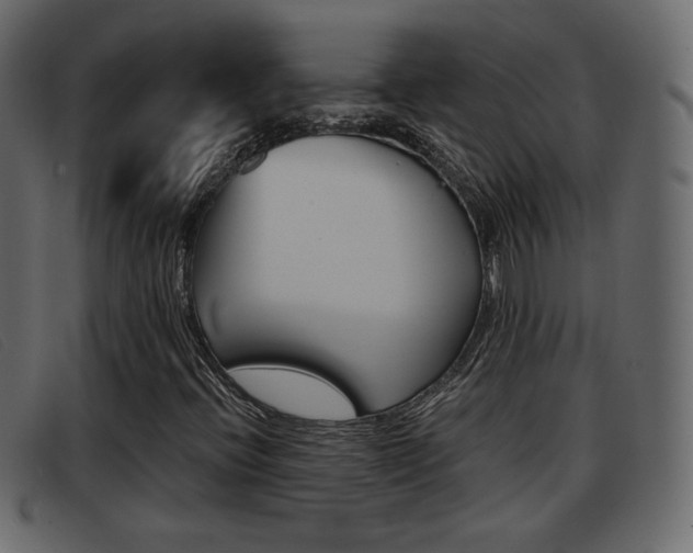 X0000093391396200710111339