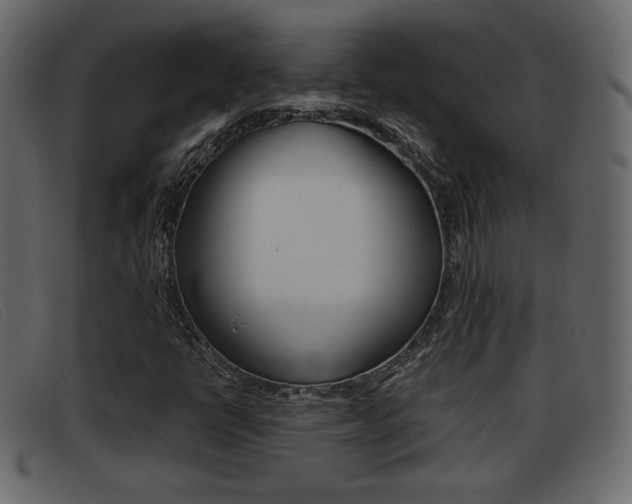 X0000093391398200710111339
