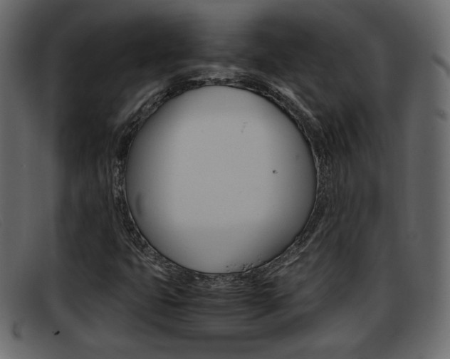 X0000093391399200710111339