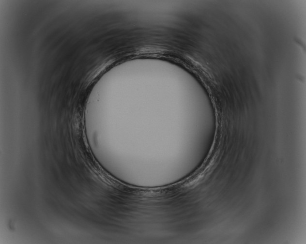 X0000093391401200710111339
