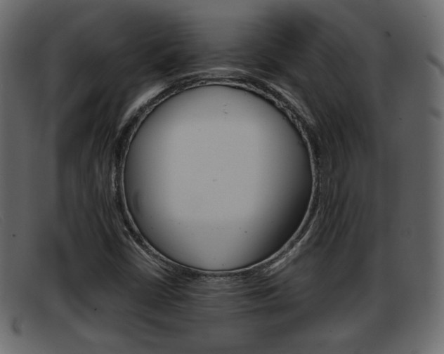 X0000093391402200710111339