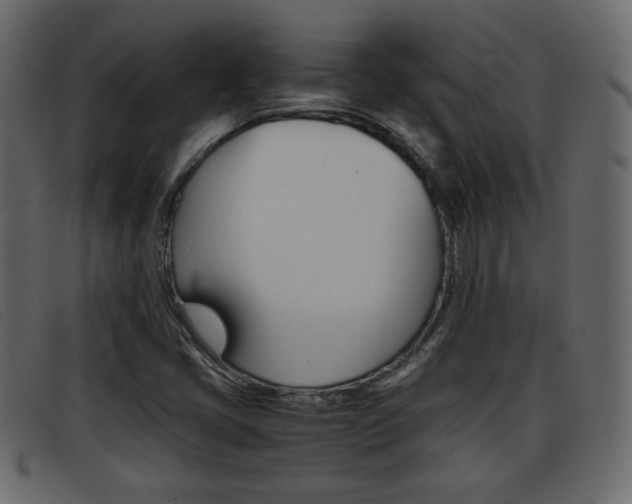 X0000093391405200710111339