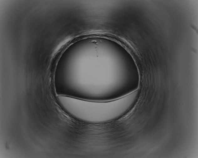 X0000093391406200710111339