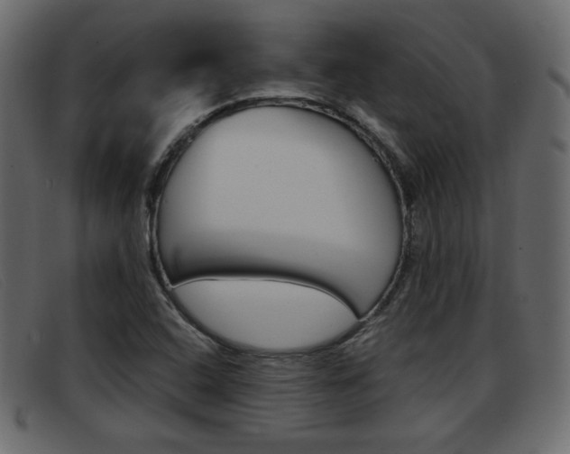 X0000093391408200710111339
