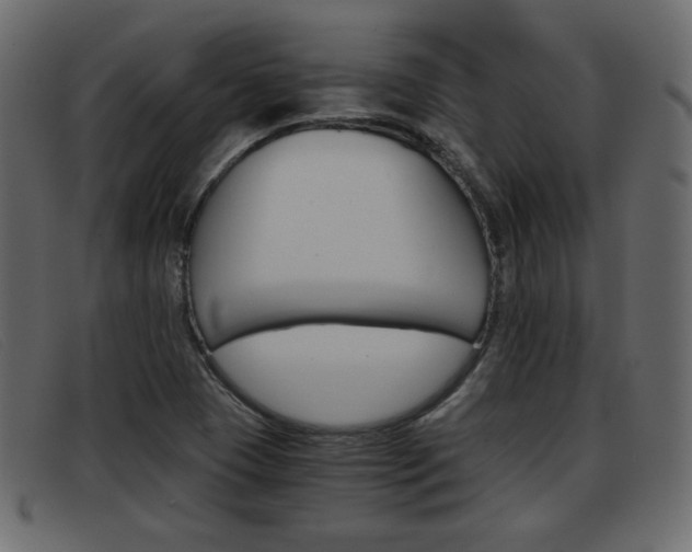 X0000093391409200710111339