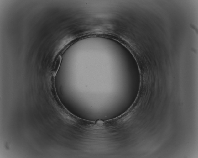 X0000093391410200710111339