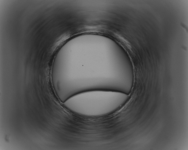 X0000093391411200710111339