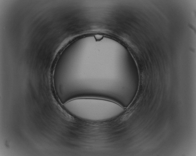 X0000093391412200710111339