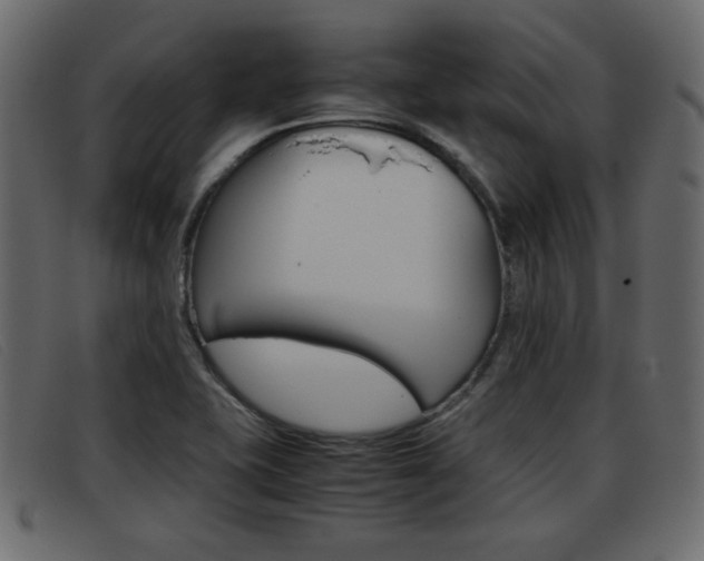 X0000093391415200710111339