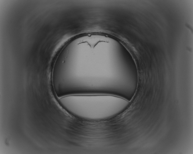 X0000093391416200710111339