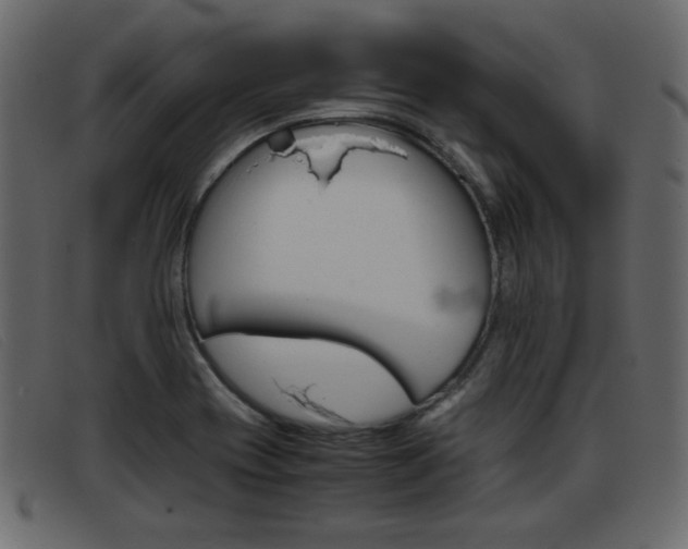 X0000093391417200710111339
