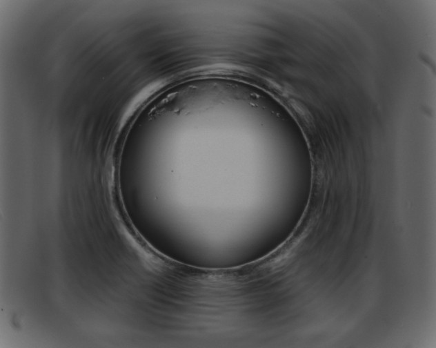 X0000093391418200710111339