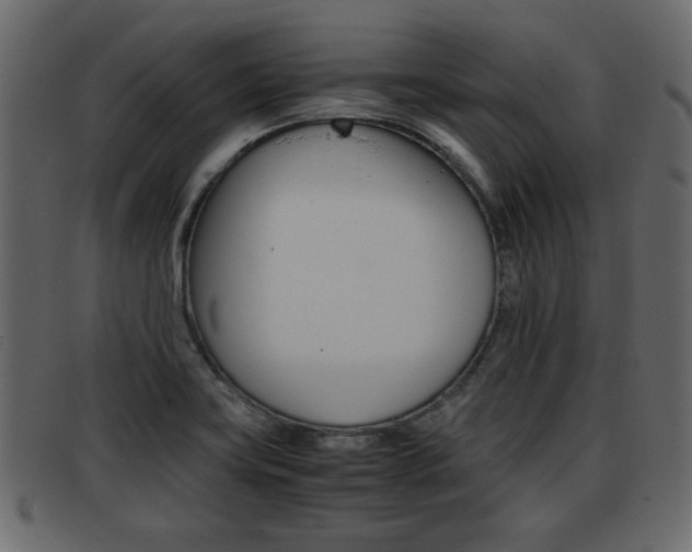 X0000093391419200710111339
