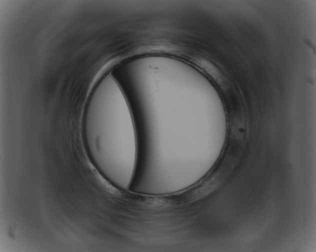 X0000093391420200710111339