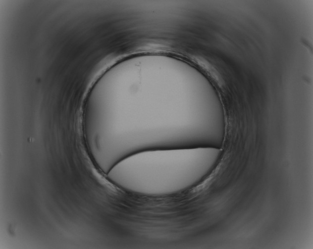 X0000093391421200710111339