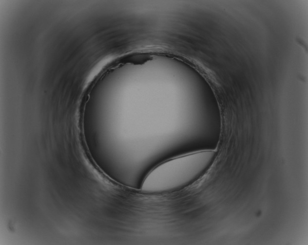 X0000093391422200710111339