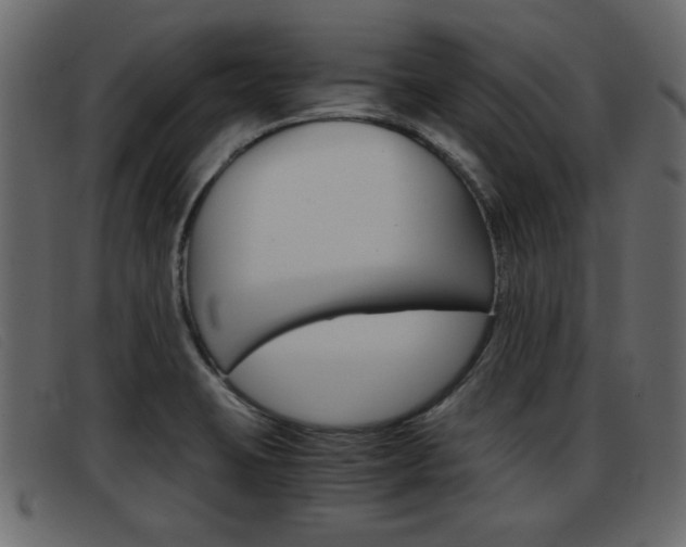 X0000093391423200710111339
