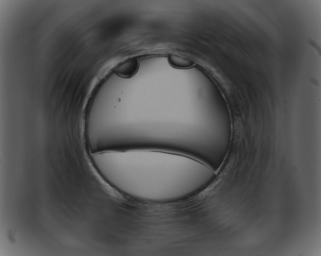 X0000093391424200710111339