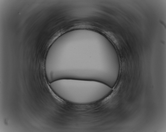 X0000093391425200710111339