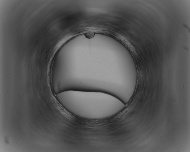 X0000093391427200710111339