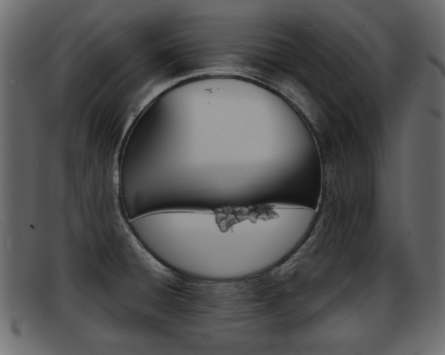 X0000093391428200710111339