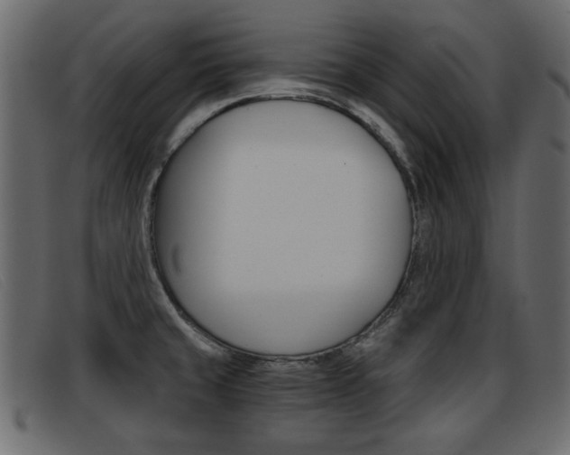 X0000093391429200710111339