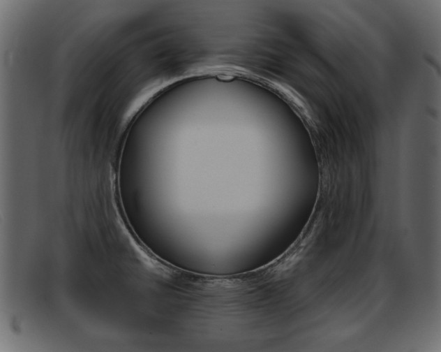 X0000093391430200710111339