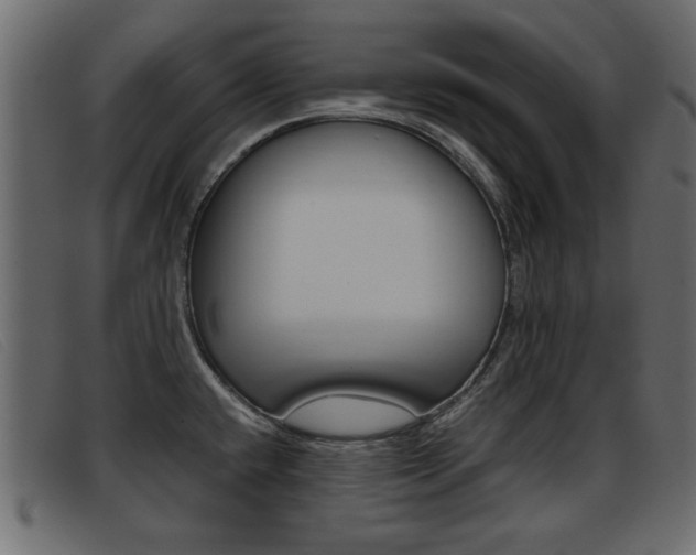 X0000093391432200710111340