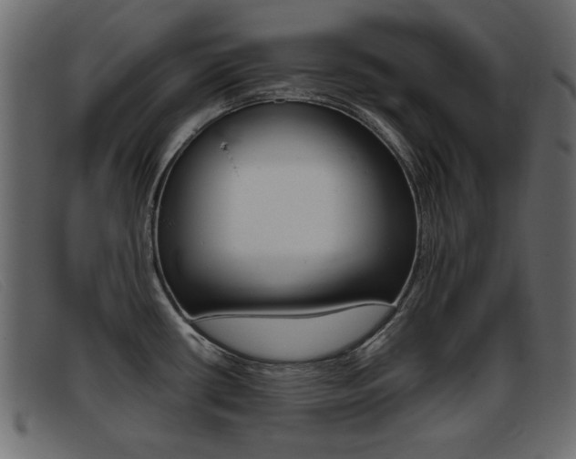X0000093391434200710111340